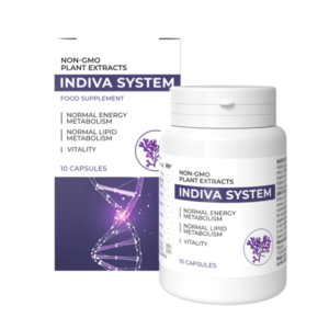 INDIVA SYSTEM